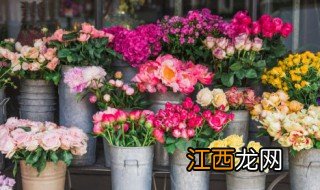 买花怎么养才能爆盆，花如何爆盆