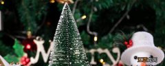 如何装饰圣诞树英语作文 如何装饰圣诞树