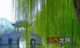 无锡扬州什么季节去好 扬州现在可以去无锡吗