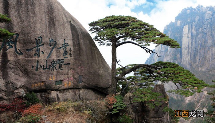 松子壳能放花盆里面吗视频 松子壳能放花盆里面吗