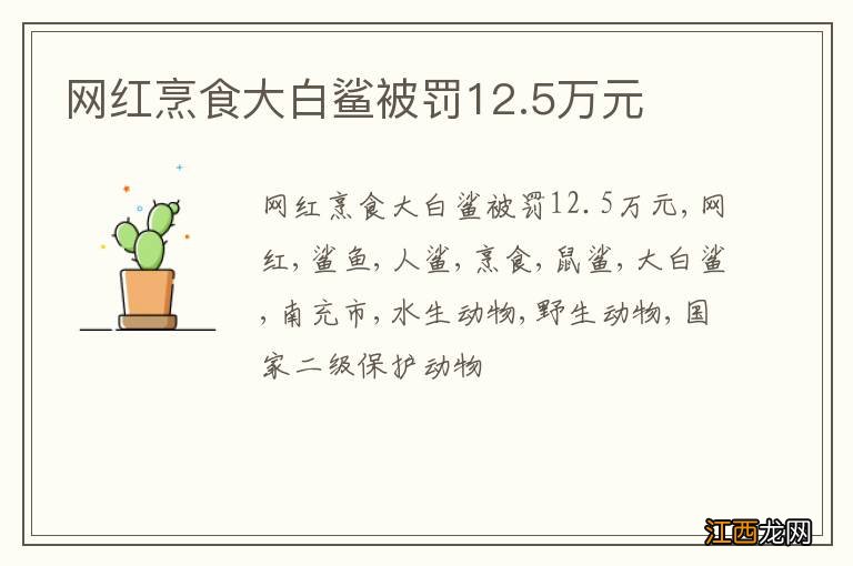 网红烹食大白鲨被罚12.5万元