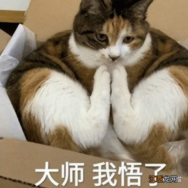 提出量子计算机的数学家去世了,享年85岁,门下2位菲尔兹奖得主