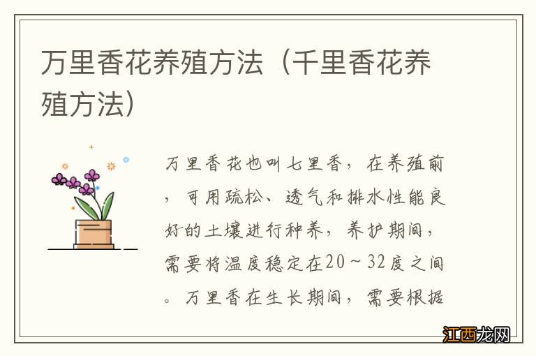 千里香花养殖方法 万里香花养殖方法