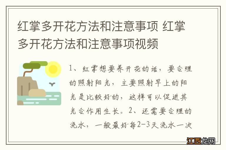 红掌多开花方法和注意事项 红掌多开花方法和注意事项视频