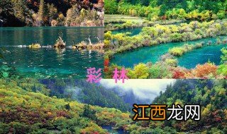 九寨沟简介资料 九寨沟介绍