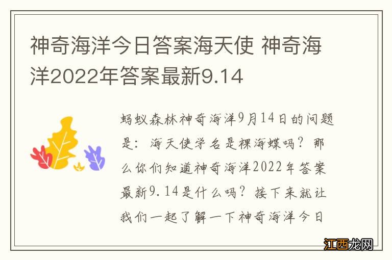 神奇海洋今日答案海天使 神奇海洋2022年答案最新9.14