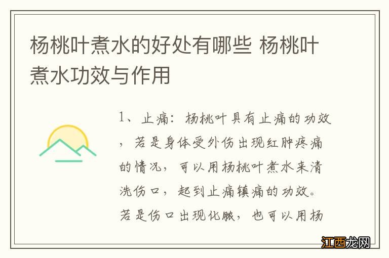 杨桃叶煮水的好处有哪些 杨桃叶煮水功效与作用