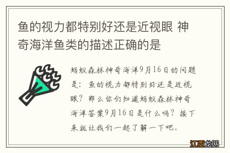 鱼的视力都特别好还是近视眼 神奇海洋鱼类的描述正确的是