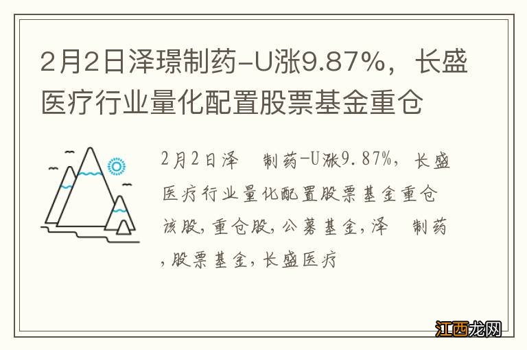 2月2日泽璟制药-U涨9.87%，长盛医疗行业量化配置股票基金重仓该股