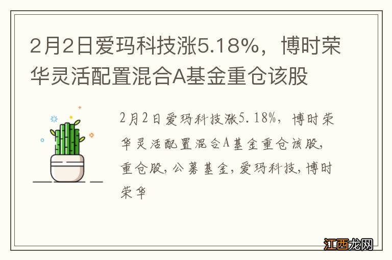 2月2日爱玛科技涨5.18%，博时荣华灵活配置混合A基金重仓该股