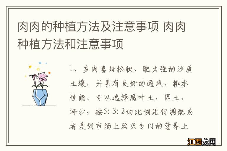 肉肉的种植方法及注意事项 肉肉种植方法和注意事项