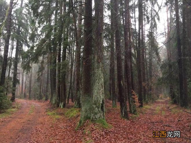 【德国巴伐利亚旅游】感受大自然