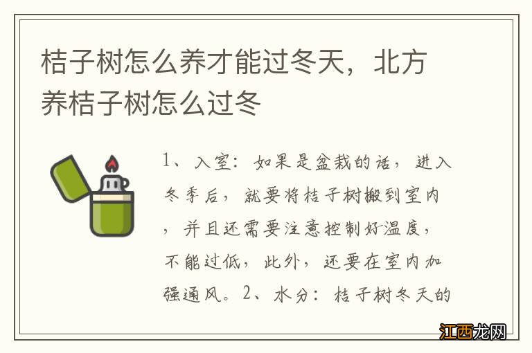 桔子树怎么养才能过冬天，北方养桔子树怎么过冬