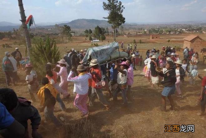 马达加斯加:1.6亿年历史的伊甸园,来这里就像去了外星