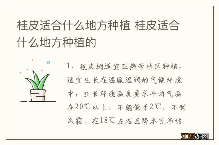 桂皮适合什么地方种植 桂皮适合什么地方种植的