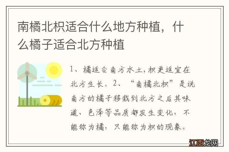 南橘北枳适合什么地方种植，什么橘子适合北方种植