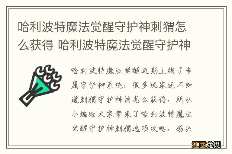 哈利波特魔法觉醒守护神刺猬怎么获得 哈利波特魔法觉醒守护神刺猬选项攻略