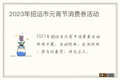 2023年招远市元宵节消费券活动