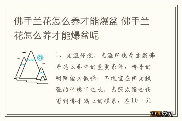 佛手兰花怎么养才能爆盆 佛手兰花怎么养才能爆盆呢