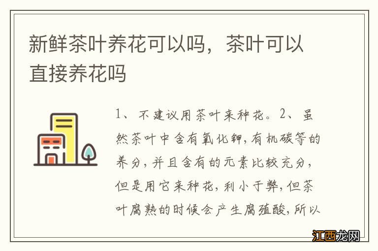 新鲜茶叶养花可以吗，茶叶可以直接养花吗