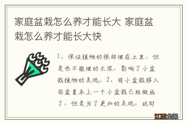 家庭盆栽怎么养才能长大 家庭盆栽怎么养才能长大快