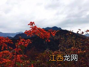 11月去北京旅游有限制吗-北京11月份适合去哪玩