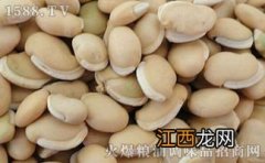 白扁豆是白芸豆吗