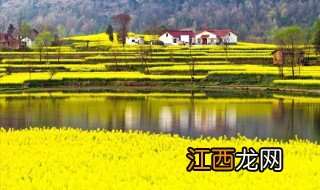 汉中油菜花节攻略 关于汉中油菜花节的攻略