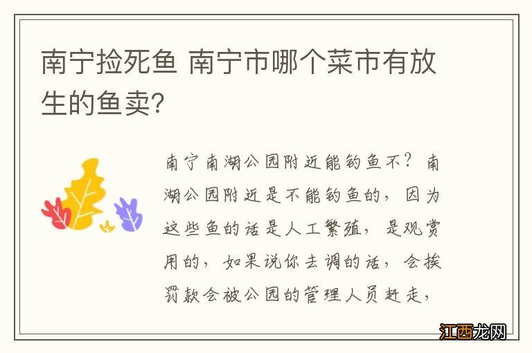 南宁捡死鱼 南宁市哪个菜市有放生的鱼卖？