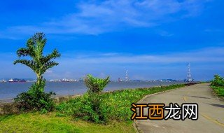 海鸥岛攻略 广州海鸥岛攻略是什么