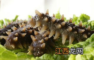 海参泡发后怎么保存