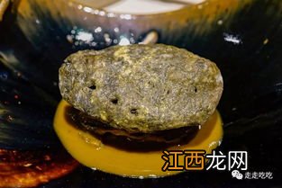 鲍鱼外壳是什么颜色的