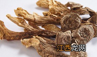 鹿茸菇煲汤功效与作用 鹿茸菇煲汤有什么功效与作用