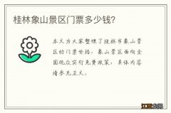 桂林象山景区门票多少钱？