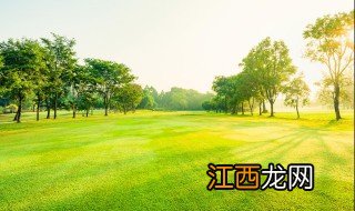 延吉旅游攻略 关于延吉旅游攻略介绍