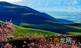 伊犁杏花沟旅游攻略 伊犁杏花沟旅游攻略是什么