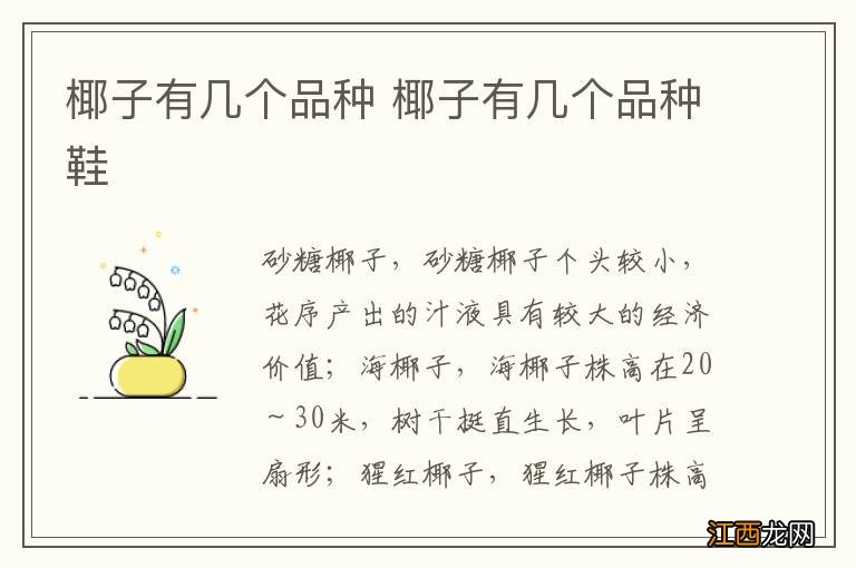 椰子有几个品种 椰子有几个品种鞋