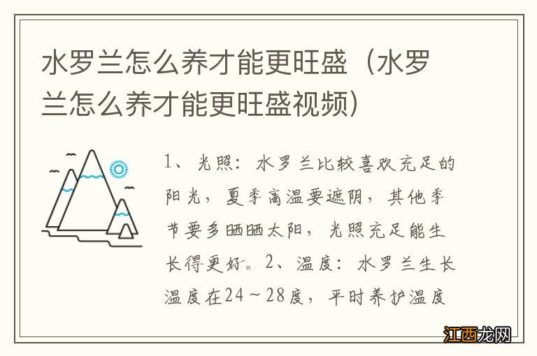 水罗兰怎么养才能更旺盛视频 水罗兰怎么养才能更旺盛