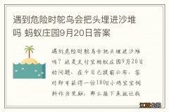 遇到危险时鸵鸟会把头埋进沙堆吗 蚂蚁庄园9月20日答案