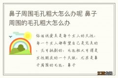 鼻子周围毛孔粗大怎么办呢 鼻子周围的毛孔粗大怎么办