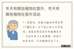 冬天有哪些植物在室外，冬天有哪些植物在室外活动