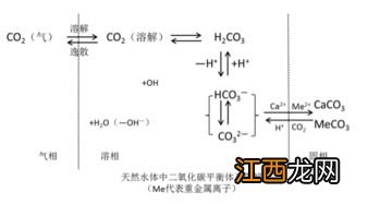 养鱼ph值是什么意思