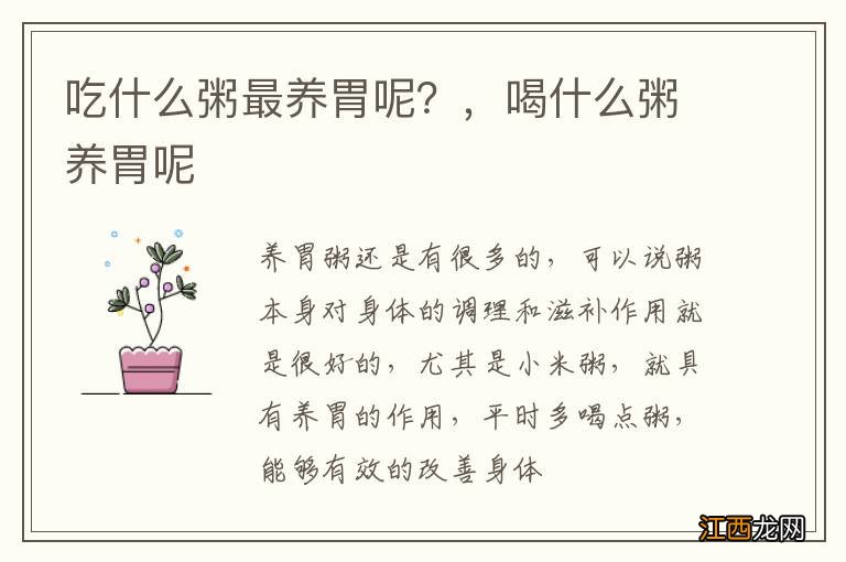 吃什么粥最养胃呢？，喝什么粥养胃呢