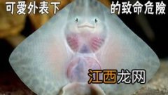 养鱼困水是什么意思