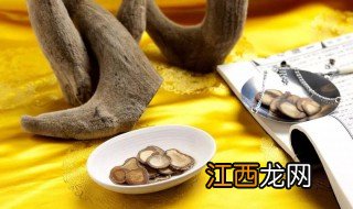 鹿茸的营养价值 鹿茸介绍