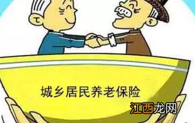 每年交100元的养老保险怎么交？