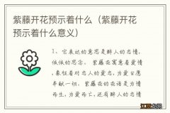 紫藤开花预示着什么意义 紫藤开花预示着什么