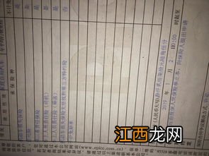 车辆停放被砖头砸坏是否报保险？