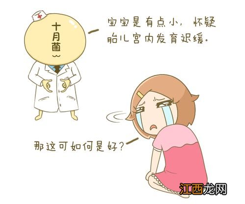 甜瓜瓜胎过小的原因，如何解决