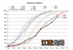 航科787玉米种抗病产量怎样，附简介